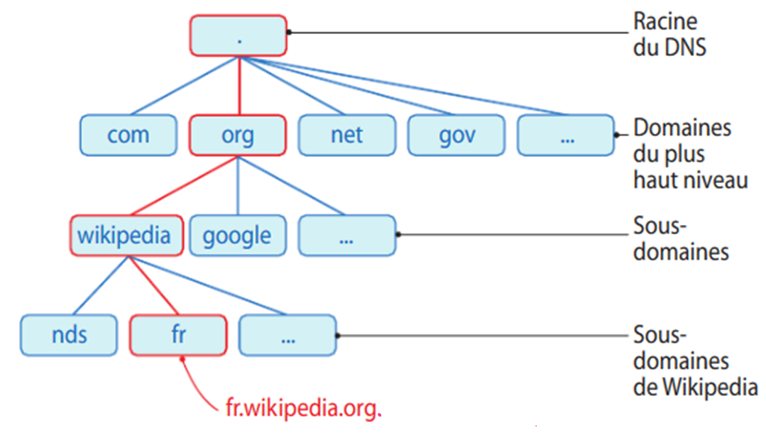 hiérarchie du DNS fr.wikipedia.org.